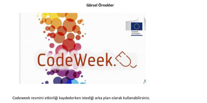ÖRÜMCEK PİKO'NUN HAREKETLİ DÜNYASI